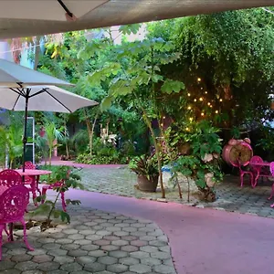https://hotel-myko-playa-del-carmen.allrivieramayahotels.com